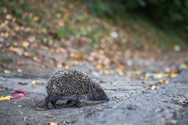 在重新评估 在重新评估