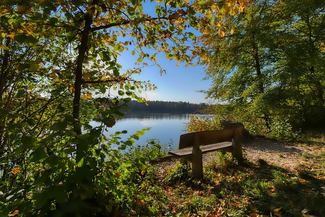 是地区内年 是地区内年