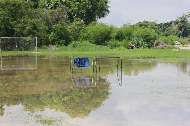 短道速滑作 短道速滑作