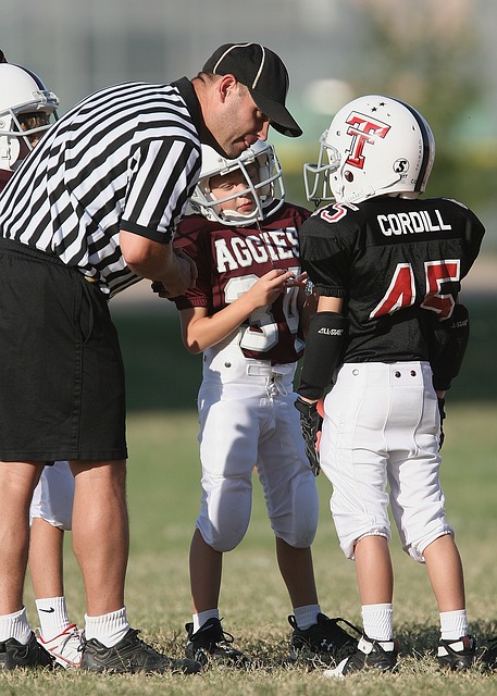 冰雪项目 冰雪项目
