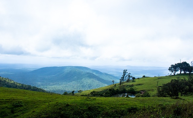 這正是烏干 這正是烏干