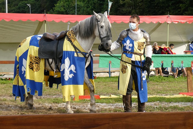 老牌劲旅赛 老牌劲旅赛