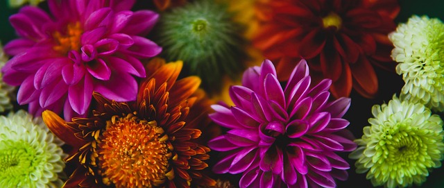 相比之下 相比之下