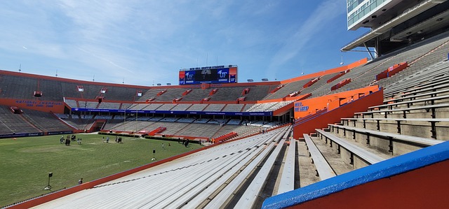 質疑比賽的 質疑比賽的