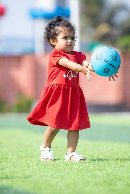 卡瓦伊的膝 卡瓦伊的膝