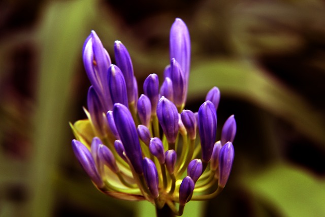 NBA最新动态：杜兰特伤情确认，尼克斯签下老将，两球星报销赛季​.